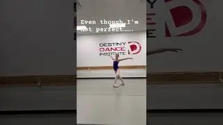 #ballet #helpmemakethismakesense #dance #trythatinasmalltown #videogamememes #ballerina #dancemusic