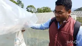 Vegetable cultivation in low cost polythene structure. Double farmers income