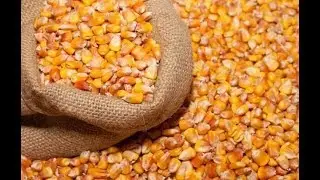 Corn processing machine