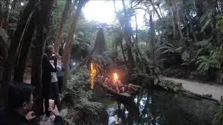Mitai Maori Village Rotorua Warriors