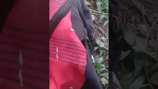 Inceto dan&ccedil;arino kkkkkkkk