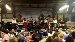 Polka Party (Party Rock Parody)