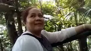 Bandilaan Nature Park /nature lover #siquijor #isladelfuego