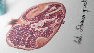 Pomegranate Painting Tutorial | Botanical Illustration Inspired | Paint With Me