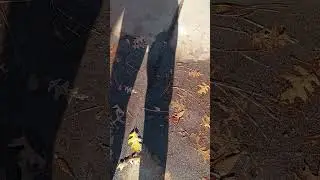 2012 Chevy Impala transmission leak 