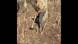 Planting Native Grasses Dylan  & Stan the Woodsman