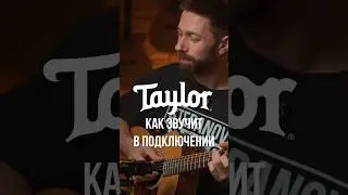 Как звучит Taylor GS Mini в подключении #taylorgsmini #pickup #taylorguitars #гитара #guitar