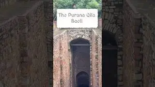 The Purana Qila Baoli!
