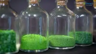 Benary's BeGreen Seed Technology