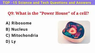 Top 15 Interesting Science and Tech Questions & Answers #TorrentGK #mcq 