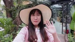 Local Highlights Tour in Hanoi with Julie