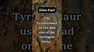 The Tyrannosaurus rex had one of the strongest bites  #randomfacts #dinofacts