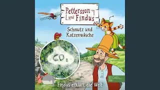 Schmutz und Katzenw&auml;sche - Teil 1