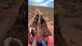 Horse teams pulling a wagon🐴
