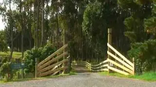 Pateke Lagoons Wetlands, Kapiti Coast, New Zealand - a virtual tour
