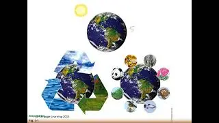 Chapter 1 Environmental Problems, Their Causes, and Sustainability  1