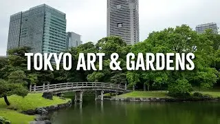 Exploring Tokyo's Gardens & Art | Hamarikyu, Ueno & Ginza