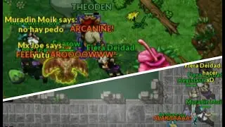 Dimensional Zone - w/Friends - PXG - Giant Sun Flora - King Raticate