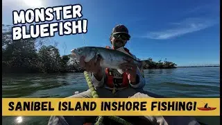 Sanibel Slams! Fishing From the Lighthouse to Ding Darling