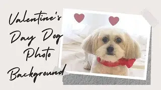 Valentine's Day Photo Backdrop - For your dog - || ilikediyprojects