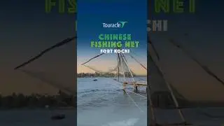Chinese Fishing Nets of Kochi 🎣 | Living Heritage | Fort Kochi | Explore with Touracle #travelshorts