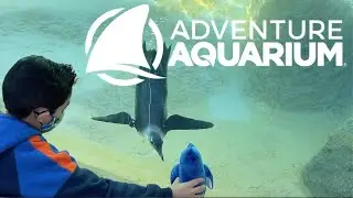 Trip to the ADVENTURE AQUARIUM!