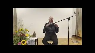 Joseph Goldstein Q&A (Englisch)