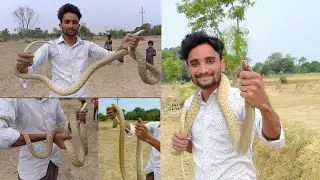 आज मैंने अपने गाँव में धामण साँप रेस्क्यू किया ।। 🐍🐍 #snakesaver
