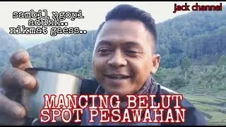 Mancing belut spot pesawahan_daerah citengah Sumedang//jack channel//channel hobi & hiburan.