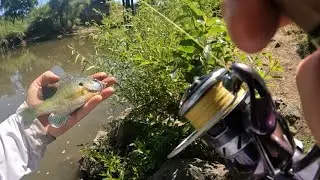 The Rite of Passage | Everyone’s First Fish