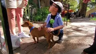 Daytime Walk on the San Antonio River Walk 11-2021