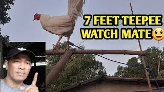 HOW TO MAKE 7 FEET TEEPEE W/SHORT CORD.🇵🇭