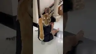 Sometimes, a hug is all you need to make everything feel right again. instagram @kenzo_thetiger