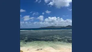 Terra Nova