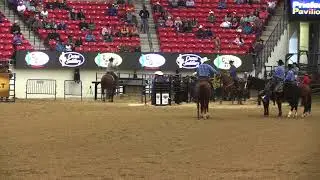 World Series of Team Roping #15 Finale - 2017