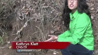 Native Digs: Maryland historical dig sites endangered by erosion