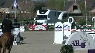 Kaiser de Roulard 7yo gelding 1m20 Gouden Laars