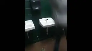 Breaking a school sink