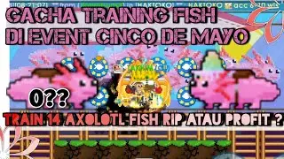 Gacha Cinco De Mayo Growtopia | Training 14 Axolotl Fish Growtopia (RIP atau PROFIT?)
