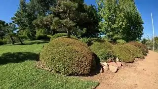 Short walk Dubbo Botanical Gardens
