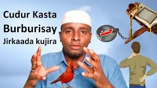 Cudur Kasta jirkaada kujira wu Gubanaya Adoo Arkaya Hadaad ku Akhriso intaan Arimo cajiiba Halkaan