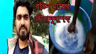 রঙিন মাছের জীবাণুনাশক কিভাবে ব্যবহার করতে হয় | How to use colored fish disinfectant