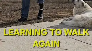 X3 by OTTOBOCK is Charged Up: Smooth Walking on Terrain Again (Amputee Update) 🚶&zwj;♂️
