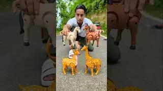Remote Control Two Giraffe And Deer Ki Video