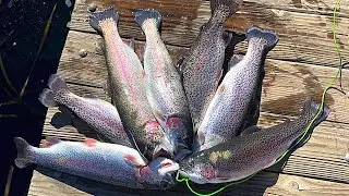 Trout Fishing ( Fin & Feather) Whats Your Honest Opinion on the lake?