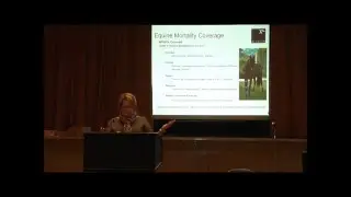 Equine Insurance