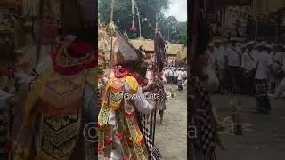 Baris Jago Getarkan Karya Pedanan Pura Agung Gunung Lebah Ubud #fyp #sakral #shorts #barisjago