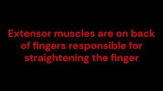 Knuckle Joint or Metacarpophalangeal Joint Pain