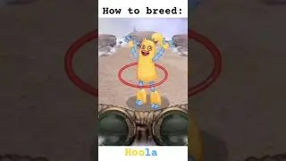 How to breed: Hoola