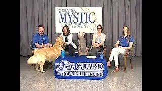 Mystic Matters: Eric and Lara Orkney